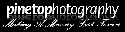 Pendletons Photography logo